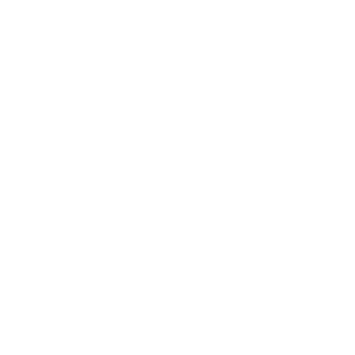 Wassink